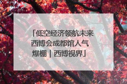 低空经济领航未来 西博会成都馆人气爆棚｜西博视界