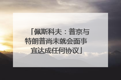 佩斯科夫：普京与特朗普尚未就会面事宜达成任何协议