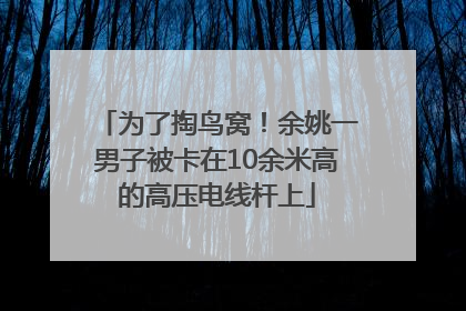 为了掏鸟窝！余姚一男子被卡在10余米高的高压电线杆上