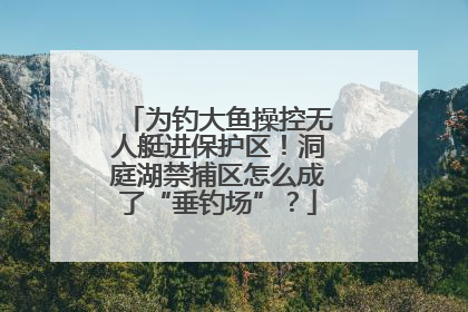 为钓大鱼操控无人艇进保护区！洞庭湖禁捕区怎么成了“垂钓场”？