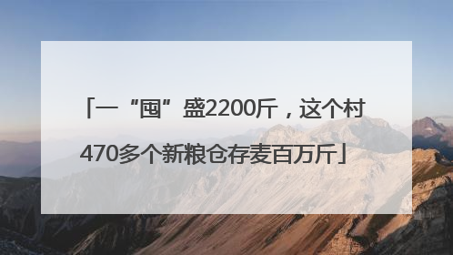 一“囤”盛2200斤，这个村470多个新粮仓存麦百万斤