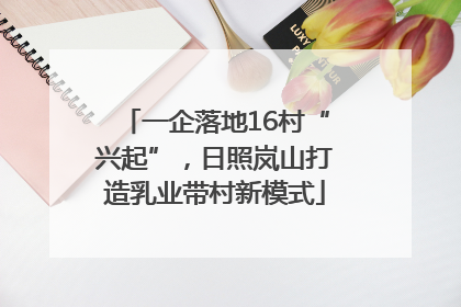 一企落地16村“兴起”，日照岚山打造乳业带村新模式