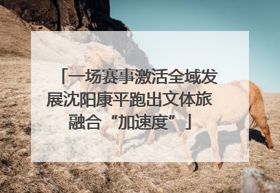 一场赛事激活全域发展沈阳康平跑出文体旅融合“加速度”