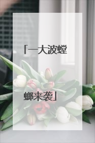 一大波螳螂来袭