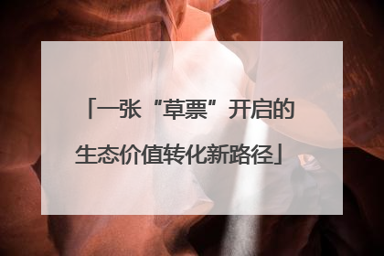 一张“草票”开启的生态价值转化新路径