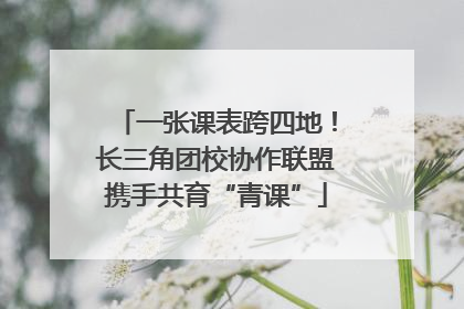 一张课表跨四地！长三角团校协作联盟携手共育“青课”