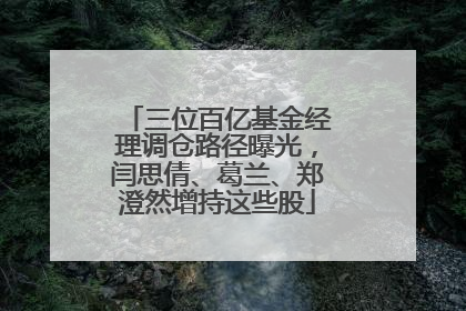 三位百亿基金经理调仓路径曝光，闫思倩、葛兰、郑澄然增持这些股