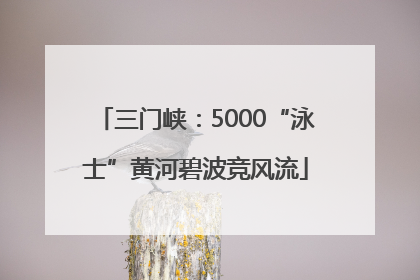 三门峡：5000“泳士”黄河碧波竞风流