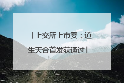 上交所上市委：道生天合首发获通过