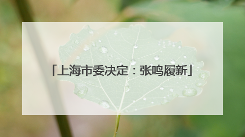 上海市委决定：张鸣履新