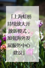 上海虹桥持续放大开放新模式，加强海外发展服务中心建设