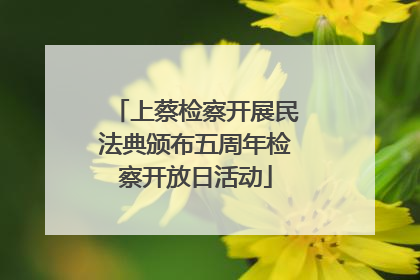 上蔡检察开展民法典颁布五周年检察开放日活动