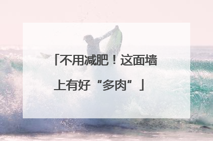 不用减肥！这面墙上有好“多肉”