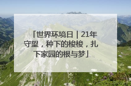 世界环境日｜21年守望，种下的梭梭，扎下家园的根与梦