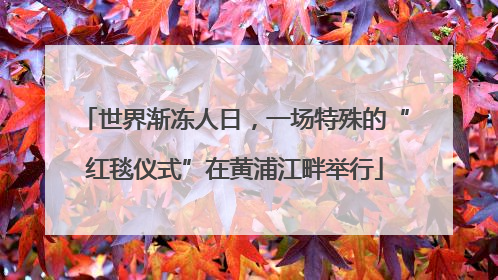 世界渐冻人日，一场特殊的“红毯仪式”在黄浦江畔举行