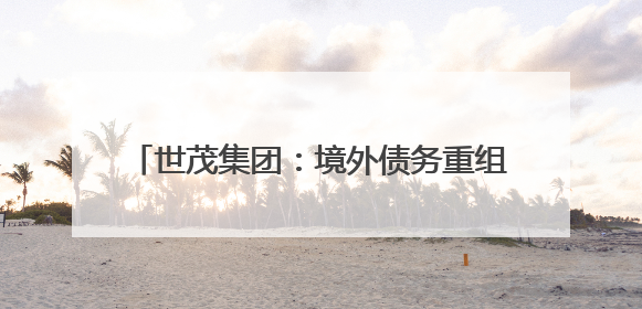 世茂集团：境外债务重组计划不晚于8月29日生效，将削债115亿美元