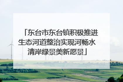 东台市东台镇积极推进生态河道整治实现河畅水清岸绿景美新愿景