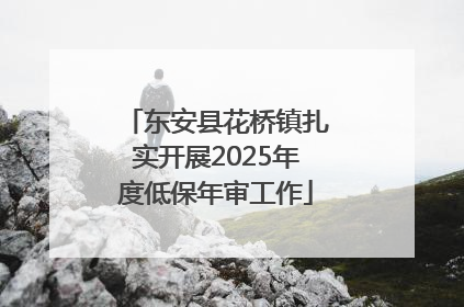 东安县花桥镇扎实开展2025年度低保年审工作