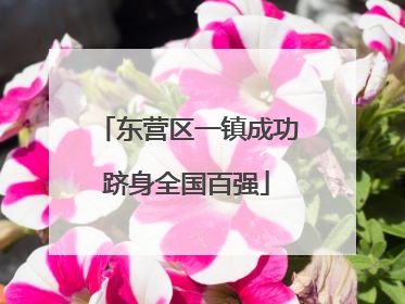 东营区一镇成功跻身全国百强