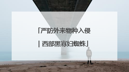 严防外来物种入侵｜西部黑寡妇蜘蛛