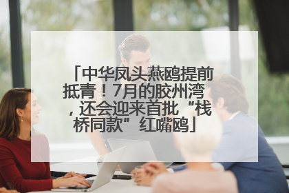 中华凤头燕鸥提前抵青！7月的胶州湾，还会迎来首批“栈桥同款”红嘴鸥