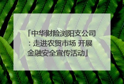 中华财险浏阳支公司：走进农贸市场 开展金融安全宣传活动
