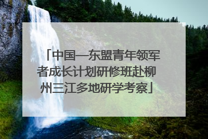 中国—东盟青年领军者成长计划研修班赴柳州三江多地研学考察