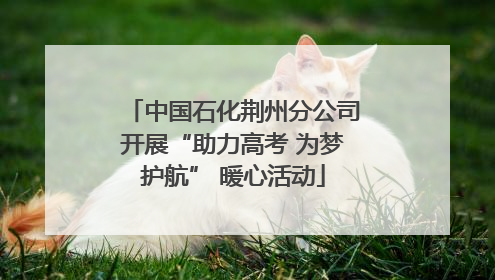 中国石化荆州分公司开展“助力高考 为梦护航” 暖心活动