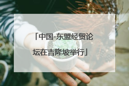中国-东盟经贸论坛在吉隆坡举行