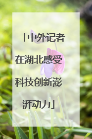 中外记者在湖北感受科技创新澎湃动力