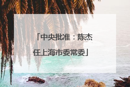 中央批准：陈杰任上海市委常委