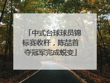 中式台球球员锦标赛收杆，陈喆首夺冠军完成蜕变