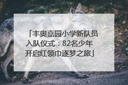 丰奥嘉园小学新队员入队仪式：82名少年开启红领巾逐梦之旅