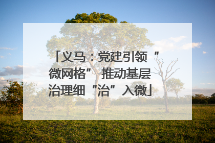 义马：党建引领“微网格” 推动基层治理细“治”入微