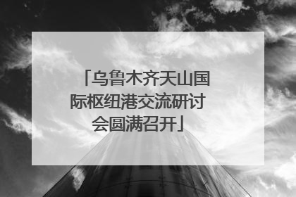 乌鲁木齐天山国际枢纽港交流研讨会圆满召开