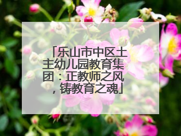 乐山市中区土主幼儿园教育集团：正教师之风，铸教育之魂
