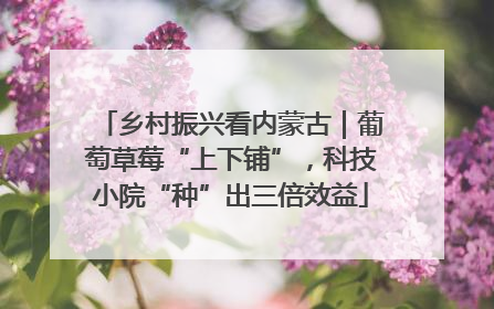 乡村振兴看内蒙古｜葡萄草莓“上下铺”，科技小院“种”出三倍效益