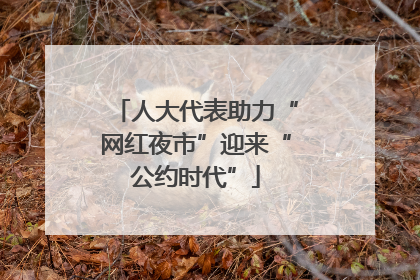 人大代表助力“网红夜市”迎来“公约时代”