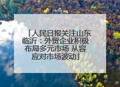 人民日报关注山东临沂：外贸企业积极布局多元市场 从容应对市场波动