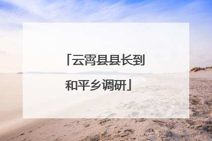 云霄县县长到和平乡调研