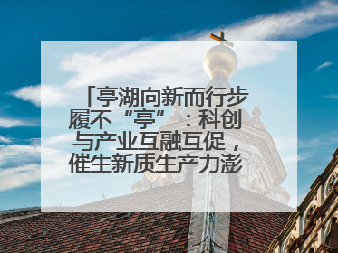 亭湖向新而行步履不“亭”：科创与产业互融互促，催生新质生产力澎湃动能