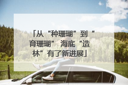 从“种珊瑚”到“育珊瑚” 海底“造林”有了新进展