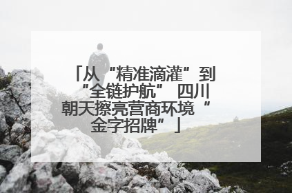 从“精准滴灌”到“全链护航” 四川朝天擦亮营商环境“金字招牌”