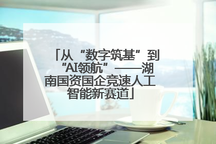 从“数字筑基”到“AI领航”——湖南国资国企竞速人工智能新赛道
