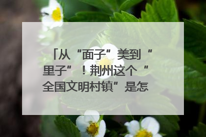 从“面子”美到“里子”！荆州这个“全国文明村镇”是怎样炼成的？