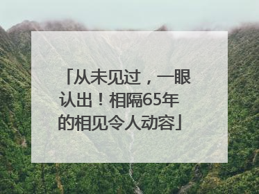 从未见过，一眼认出！相隔65年的相见令人动容