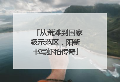 从荒滩到国家级示范区，阳新书写虾稻传奇