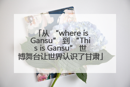 从 “where is Gansu” 到 “This is Gansu” 世博舞台让世界认识了甘肃