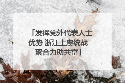 发挥党外代表人士优势 浙江上虞统战聚合力助共富
