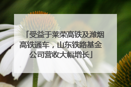 受益于莱荣高铁及潍烟高铁通车，山东铁路基金公司营收大幅增长
